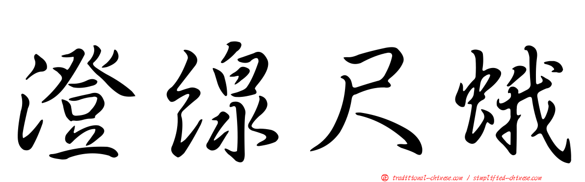 澄線尺蛾