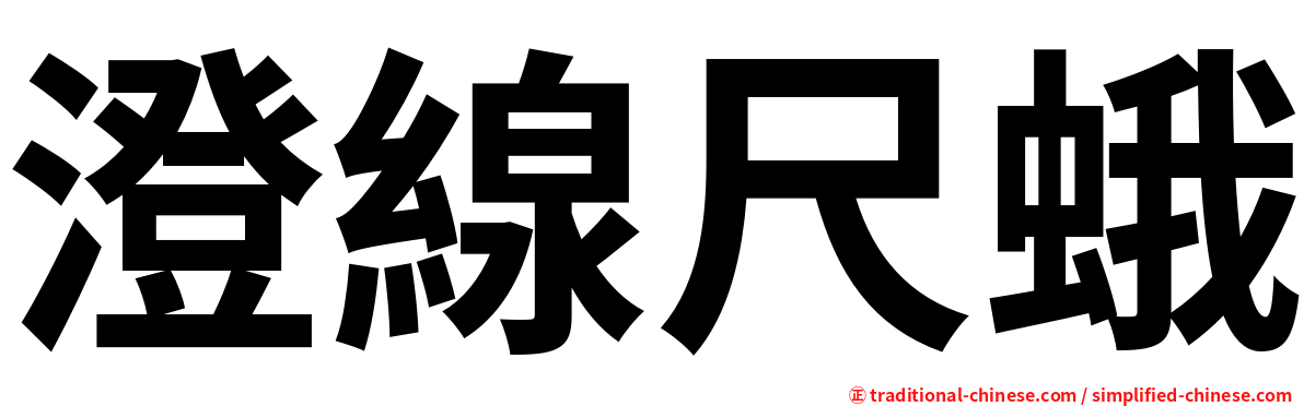 澄線尺蛾