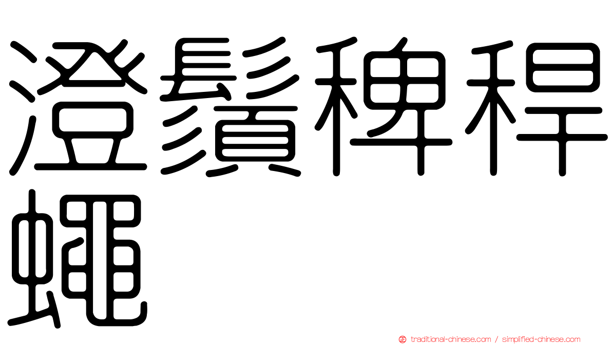 澄鬚稗稈蠅
