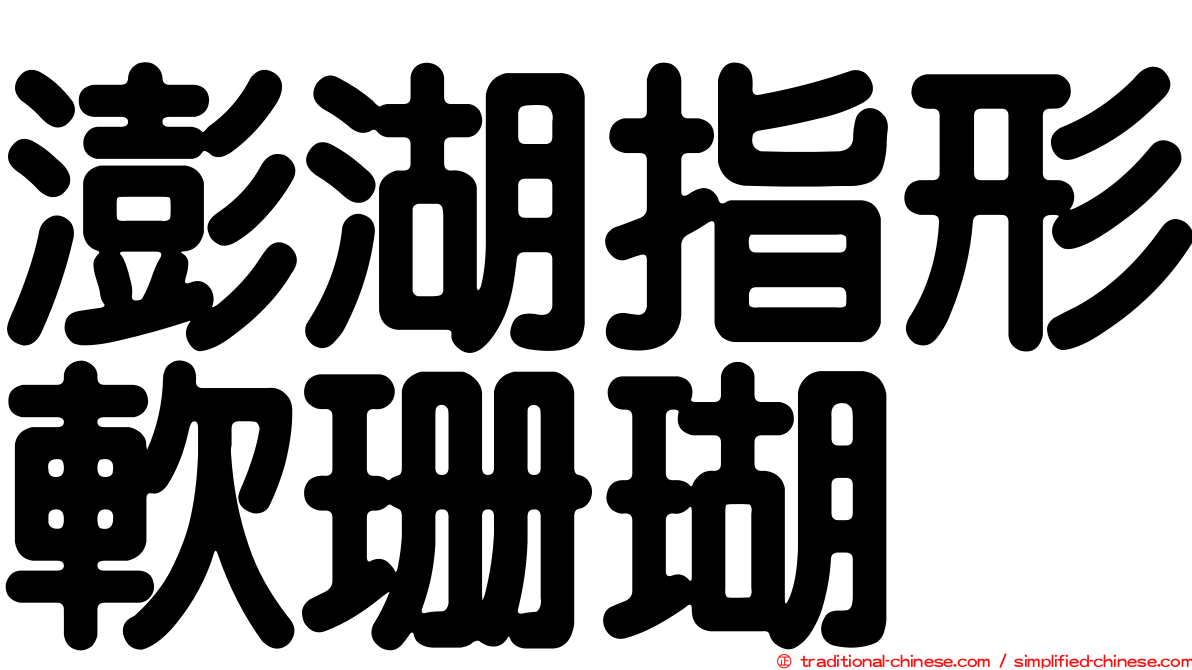 澎湖指形軟珊瑚