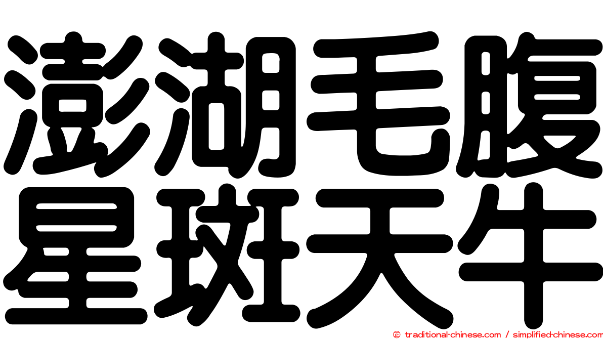 澎湖毛腹星斑天牛