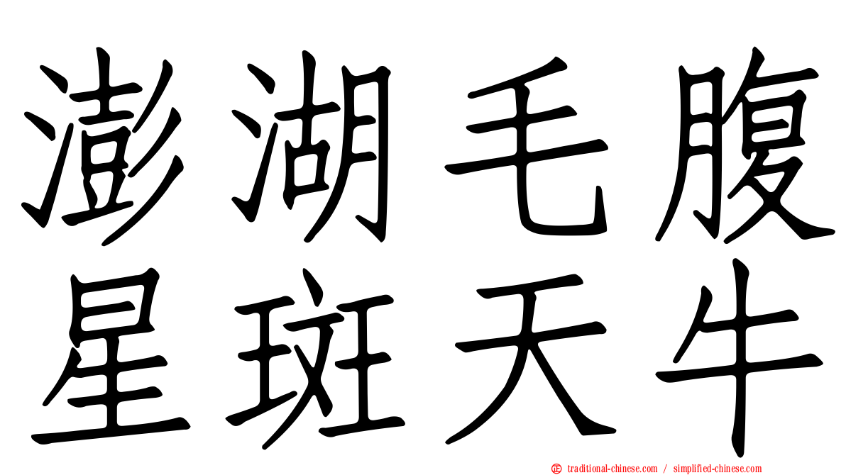 澎湖毛腹星斑天牛