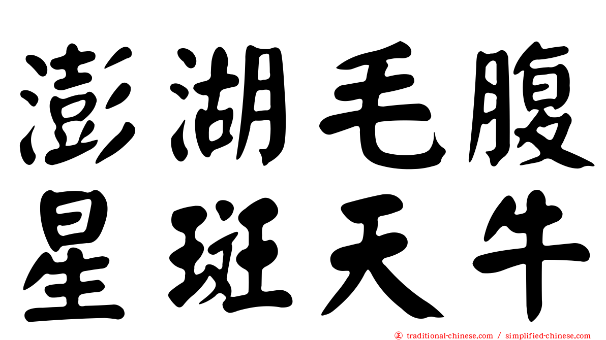 澎湖毛腹星斑天牛