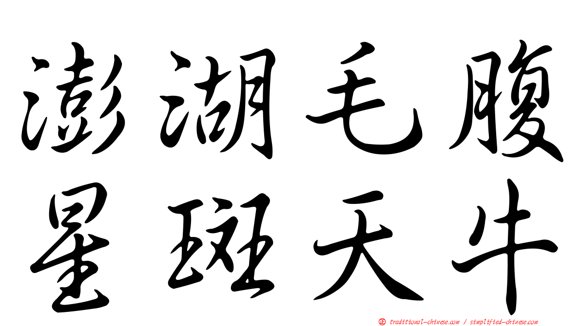 澎湖毛腹星斑天牛