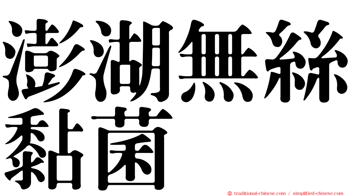 澎湖無絲黏菌