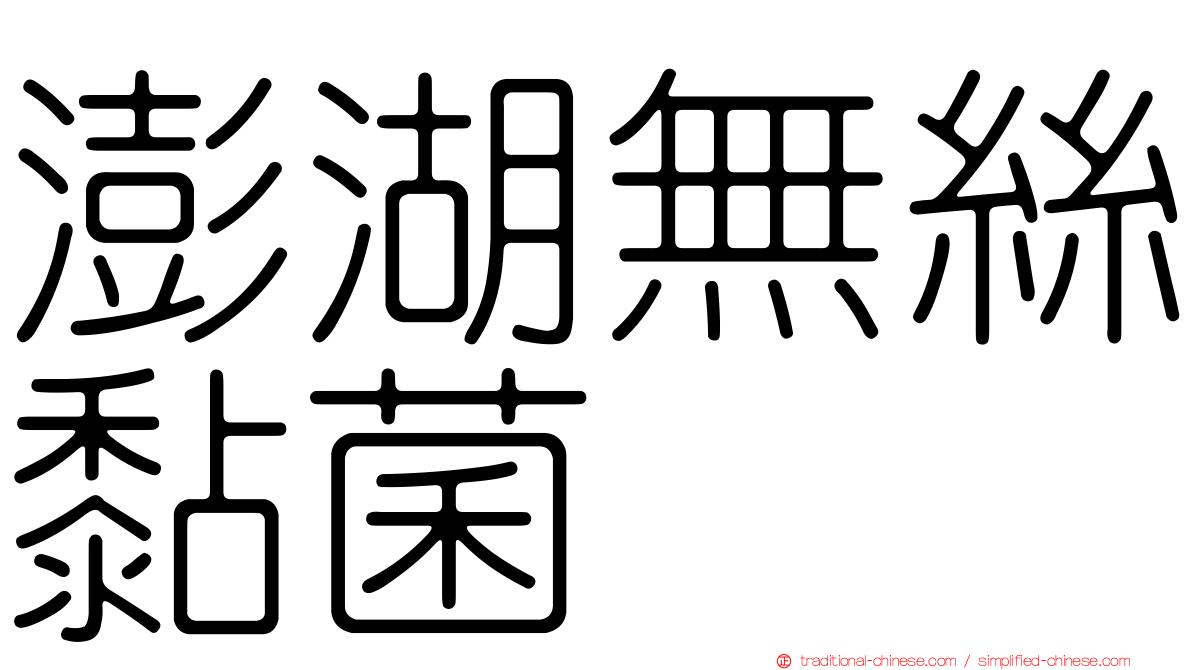 澎湖無絲黏菌