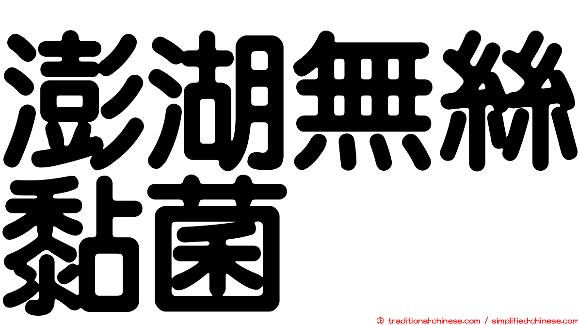 澎湖無絲黏菌