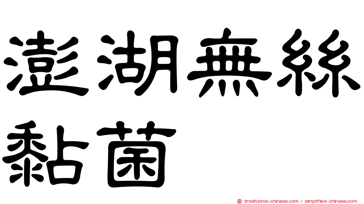 澎湖無絲黏菌