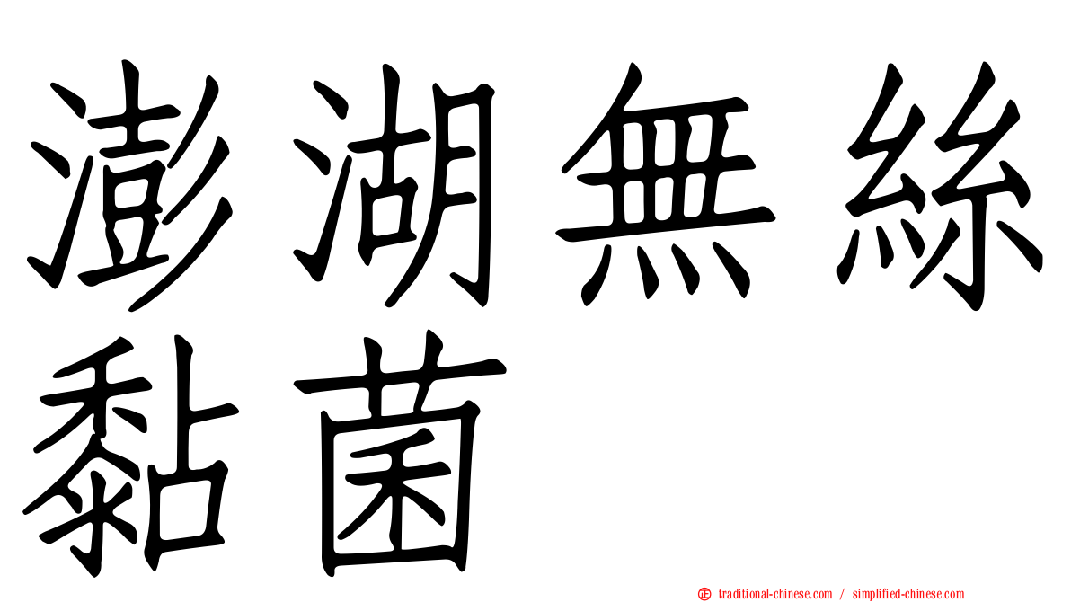 澎湖無絲黏菌