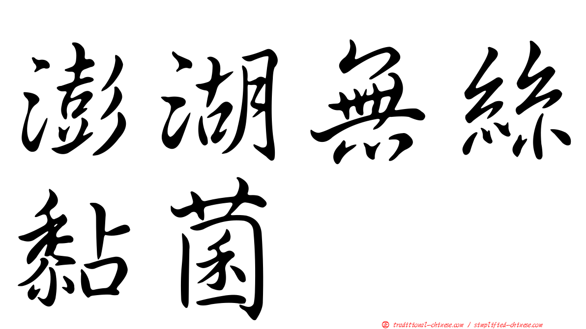 澎湖無絲黏菌