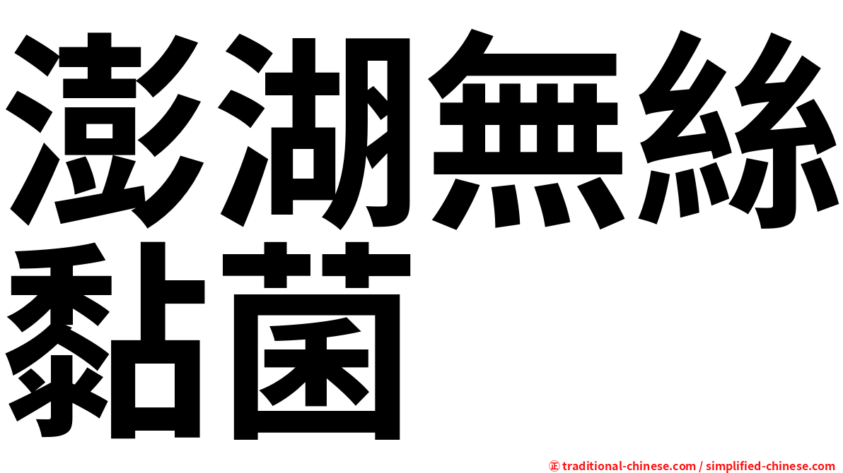 澎湖無絲黏菌