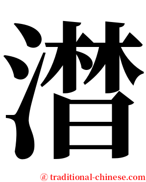 澘 serif font