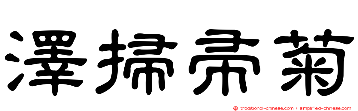 澤掃帚菊