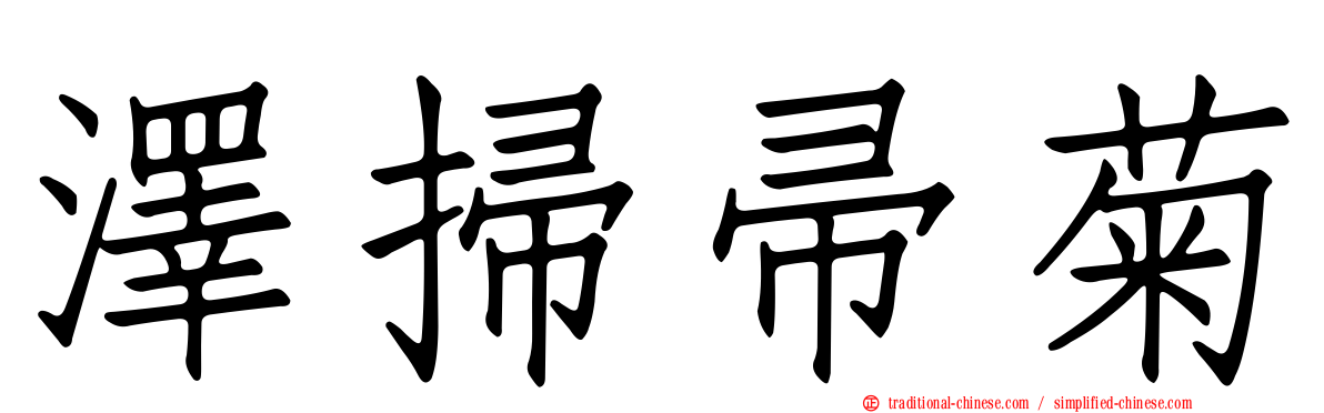 澤掃帚菊