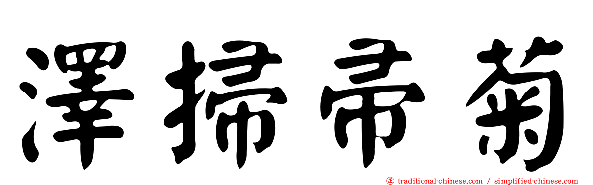 澤掃帚菊