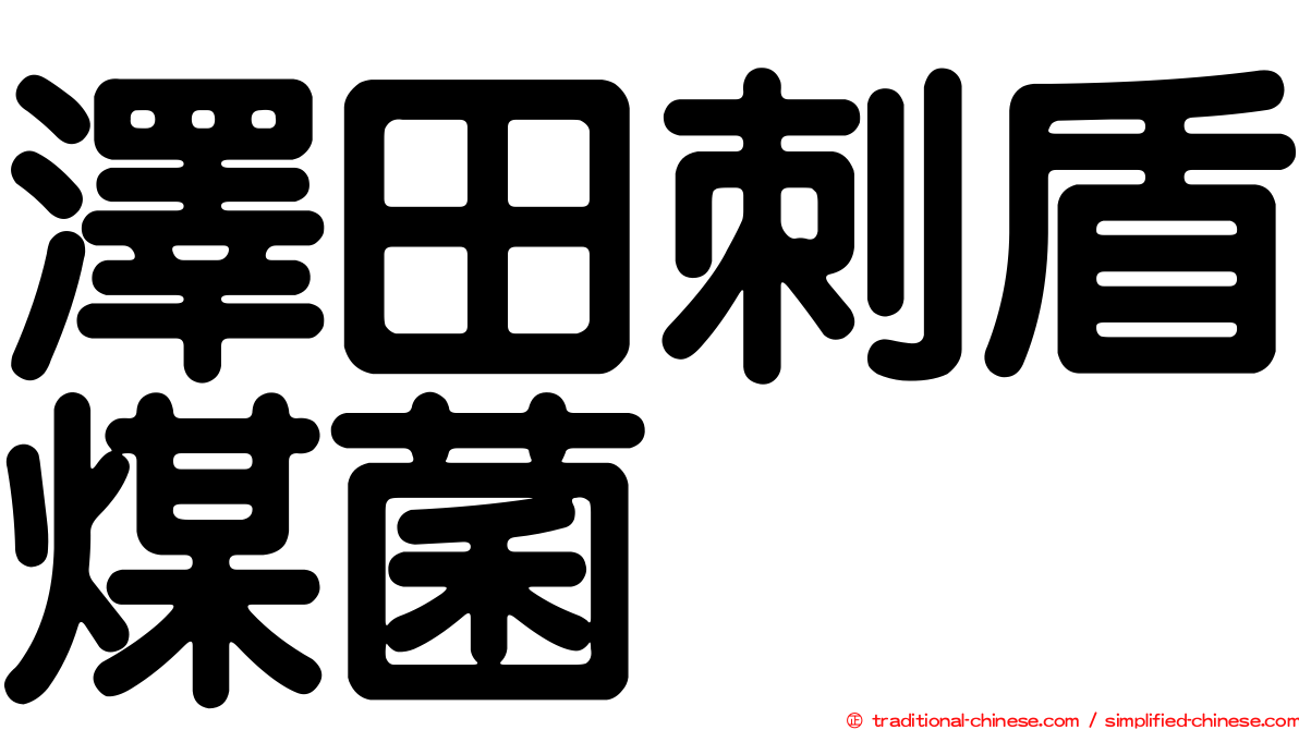 澤田刺盾煤菌