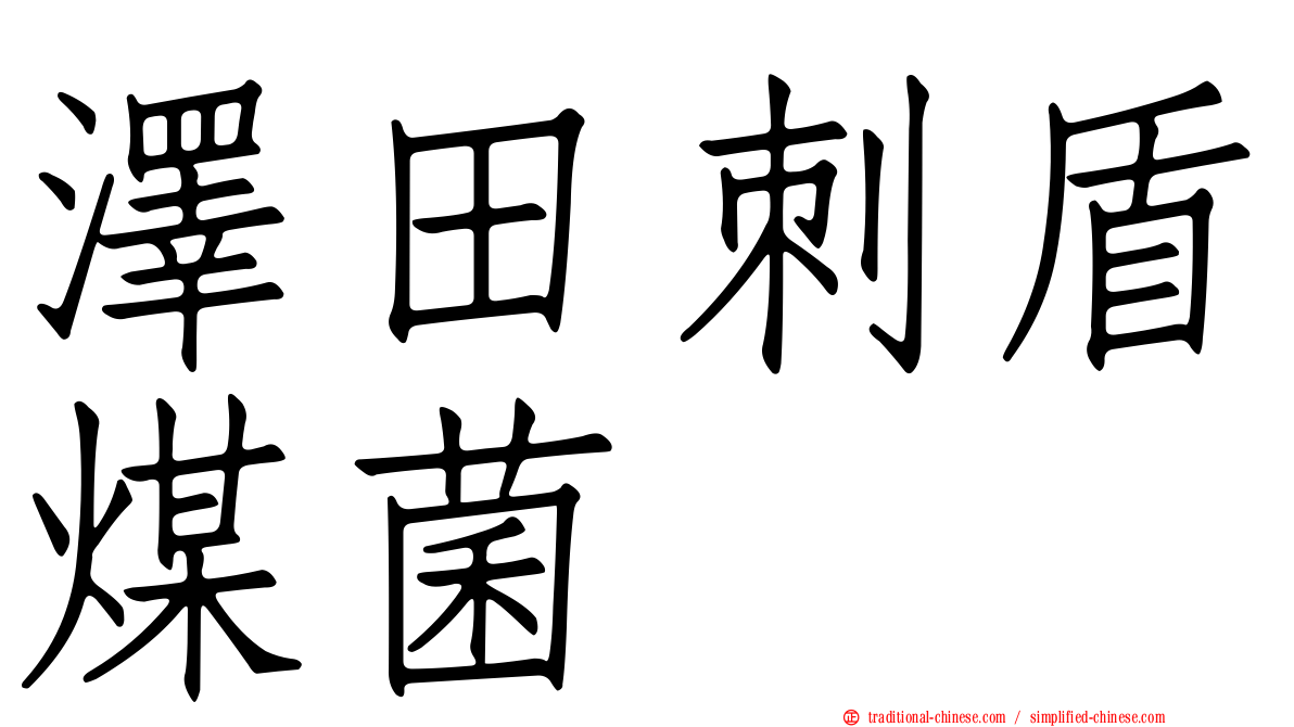 澤田刺盾煤菌