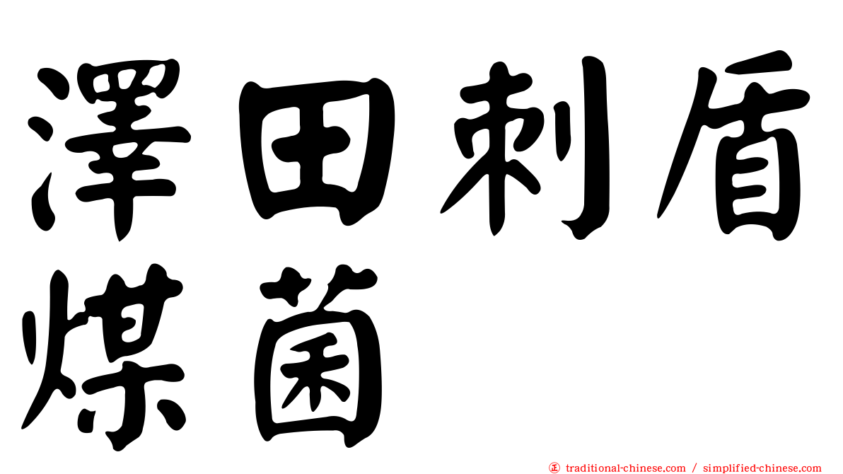 澤田刺盾煤菌