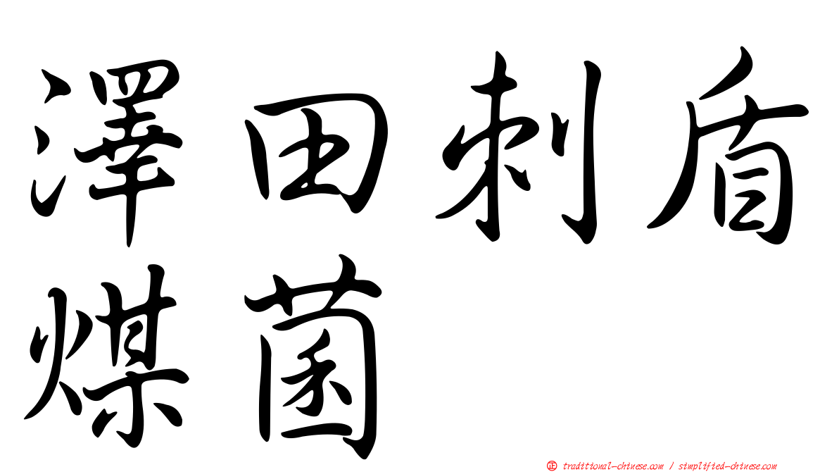 澤田刺盾煤菌