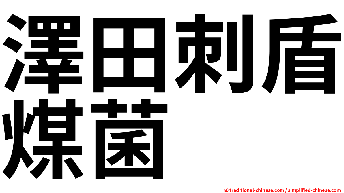 澤田刺盾煤菌