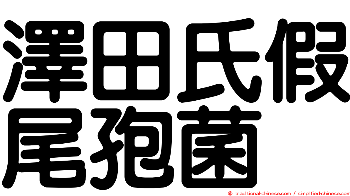 澤田氏假尾孢菌