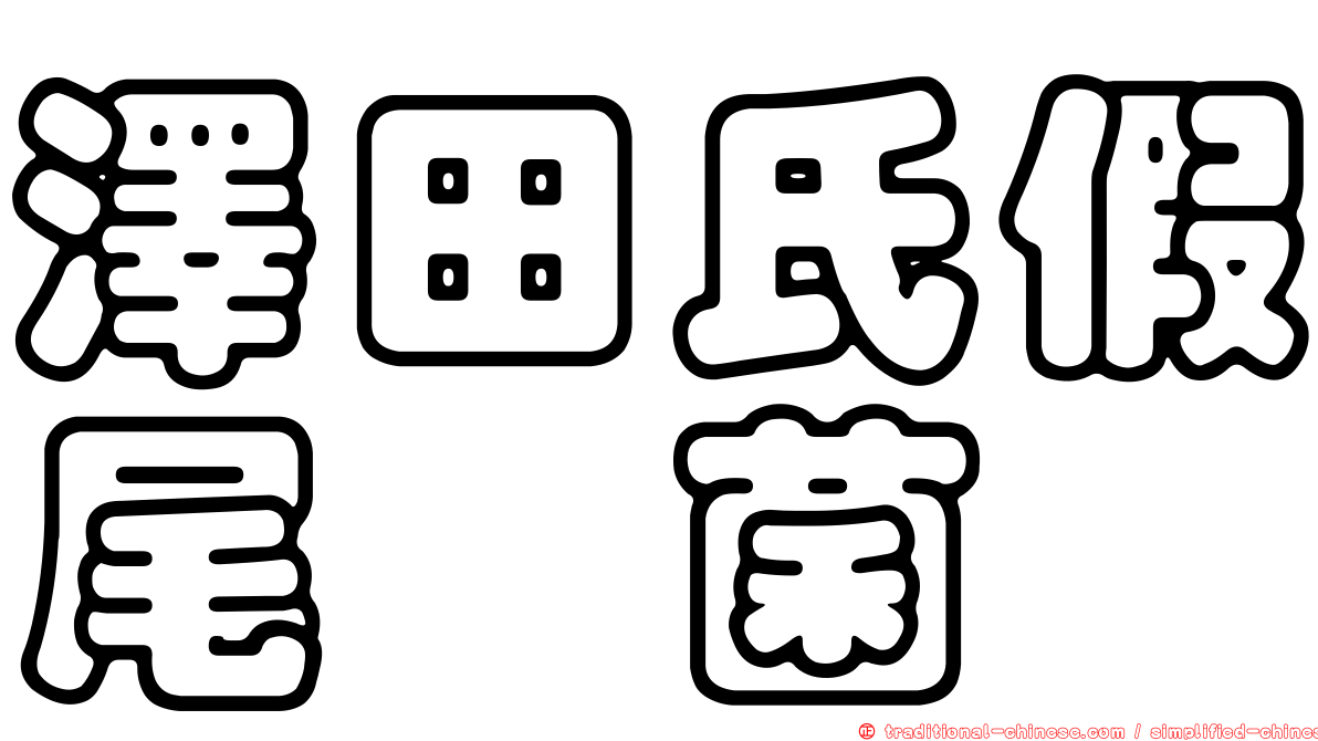 澤田氏假尾孢菌