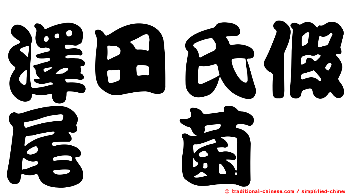 澤田氏假尾孢菌