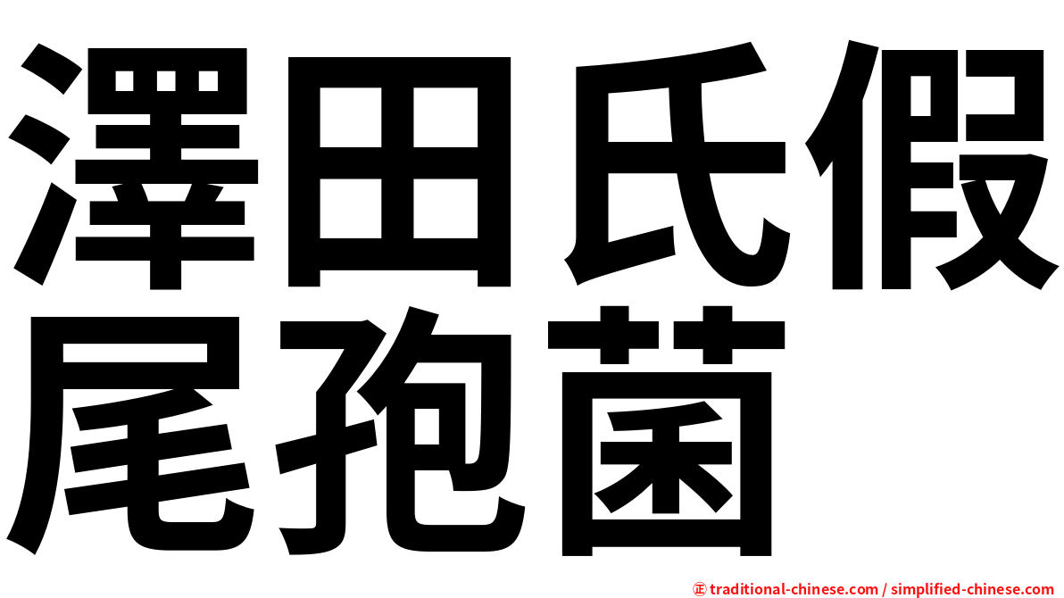 澤田氏假尾孢菌