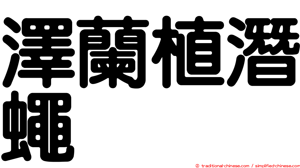 澤蘭植潛蠅