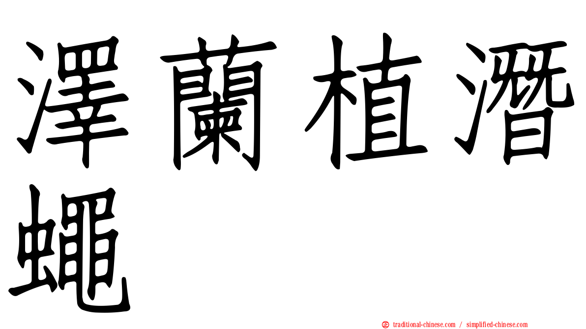 澤蘭植潛蠅