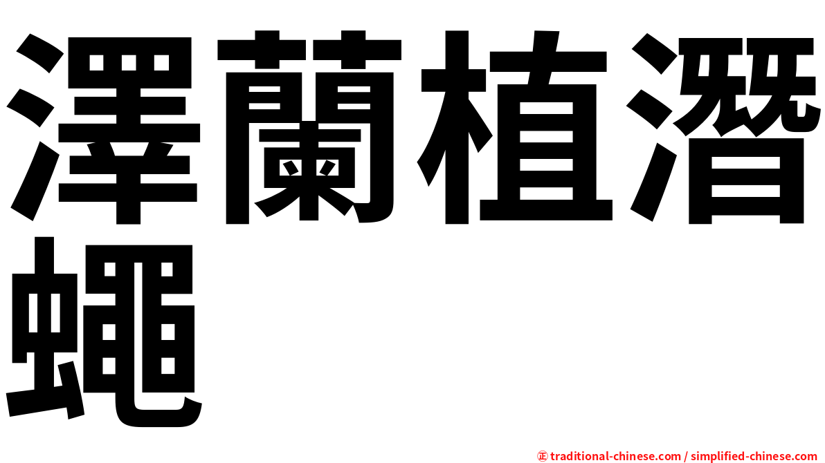 澤蘭植潛蠅