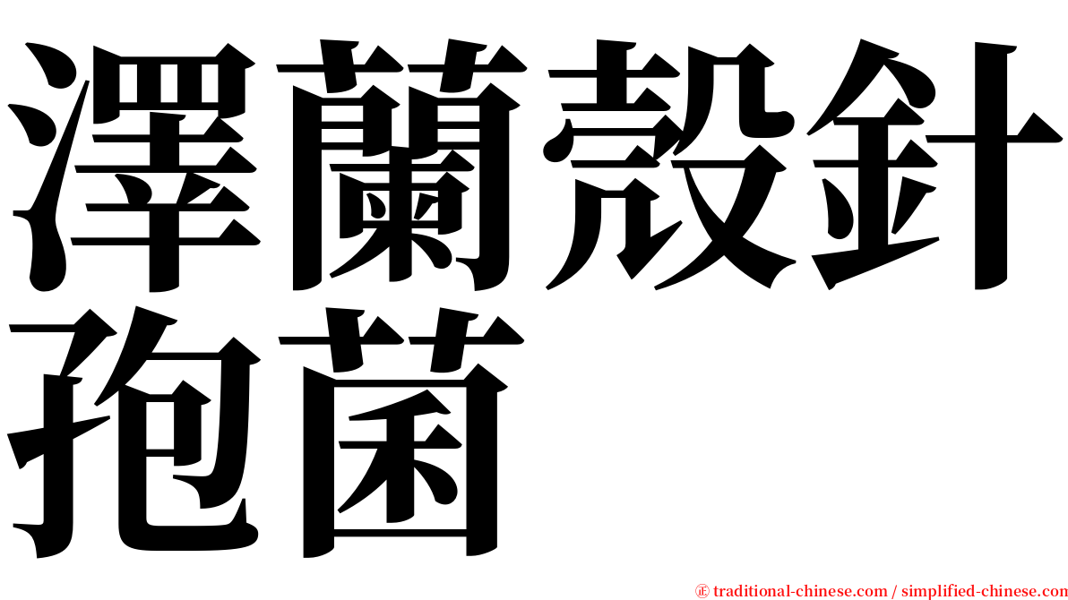 澤蘭殼針孢菌 serif font