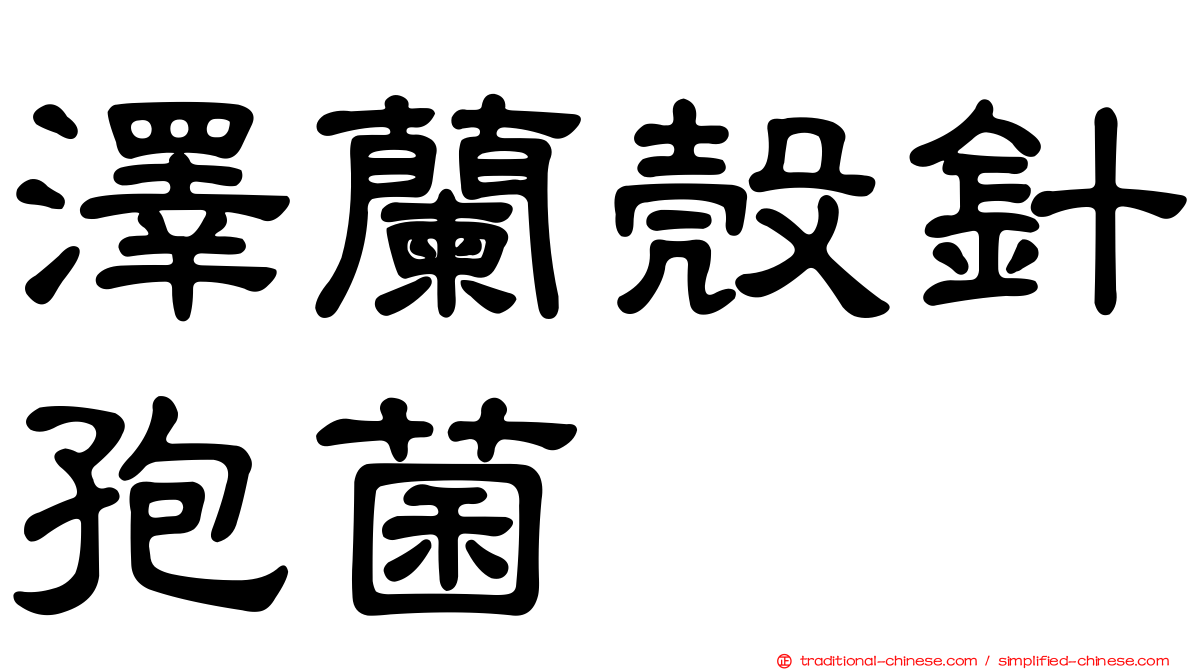 澤蘭殼針孢菌