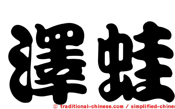 澤蛙