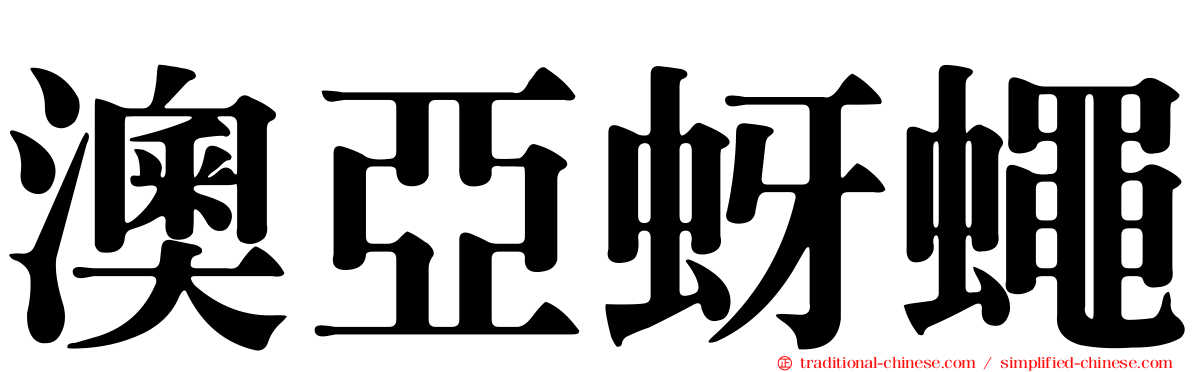 澳亞蚜蠅