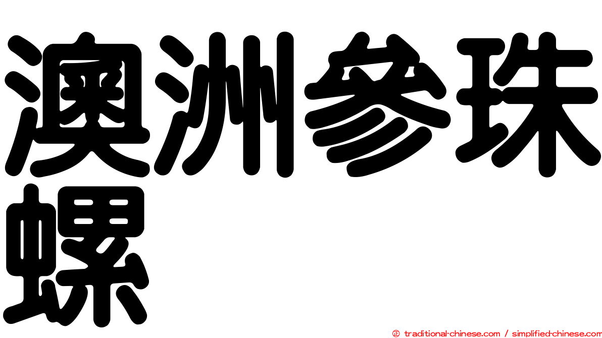 澳洲參珠螺