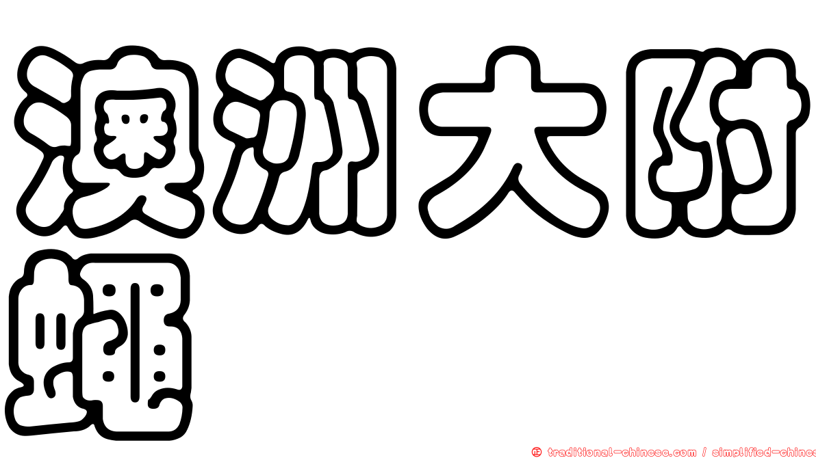 澳洲大附蠅