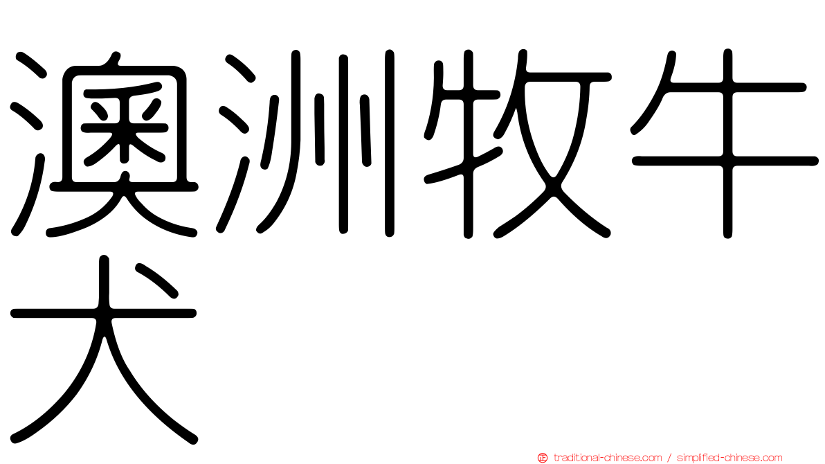 澳洲牧牛犬