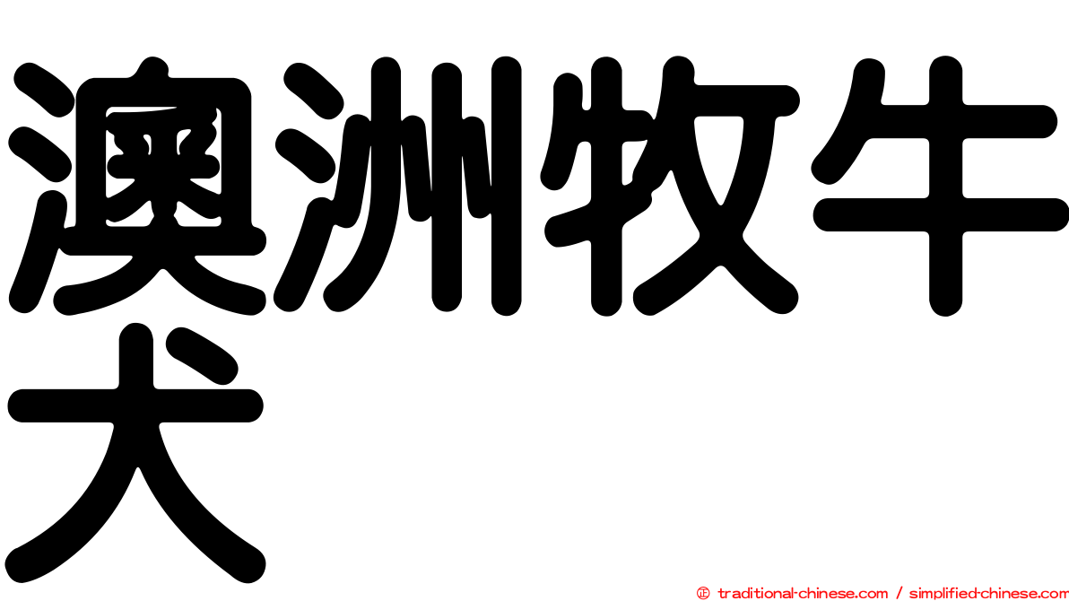 澳洲牧牛犬