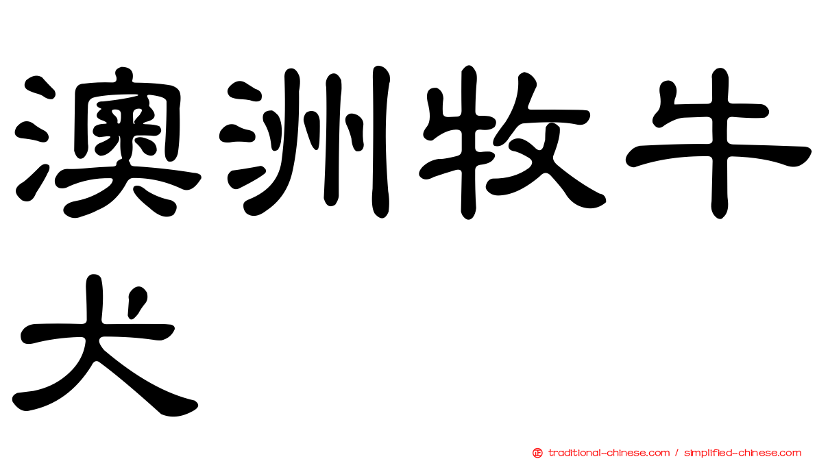 澳洲牧牛犬