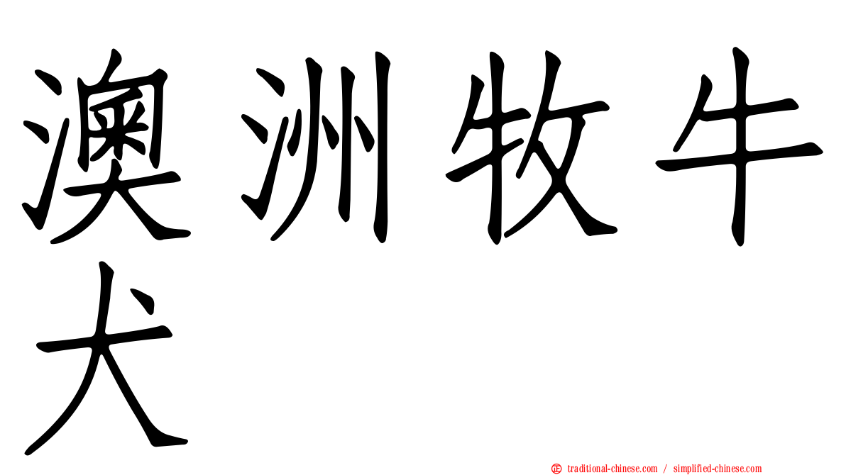 澳洲牧牛犬