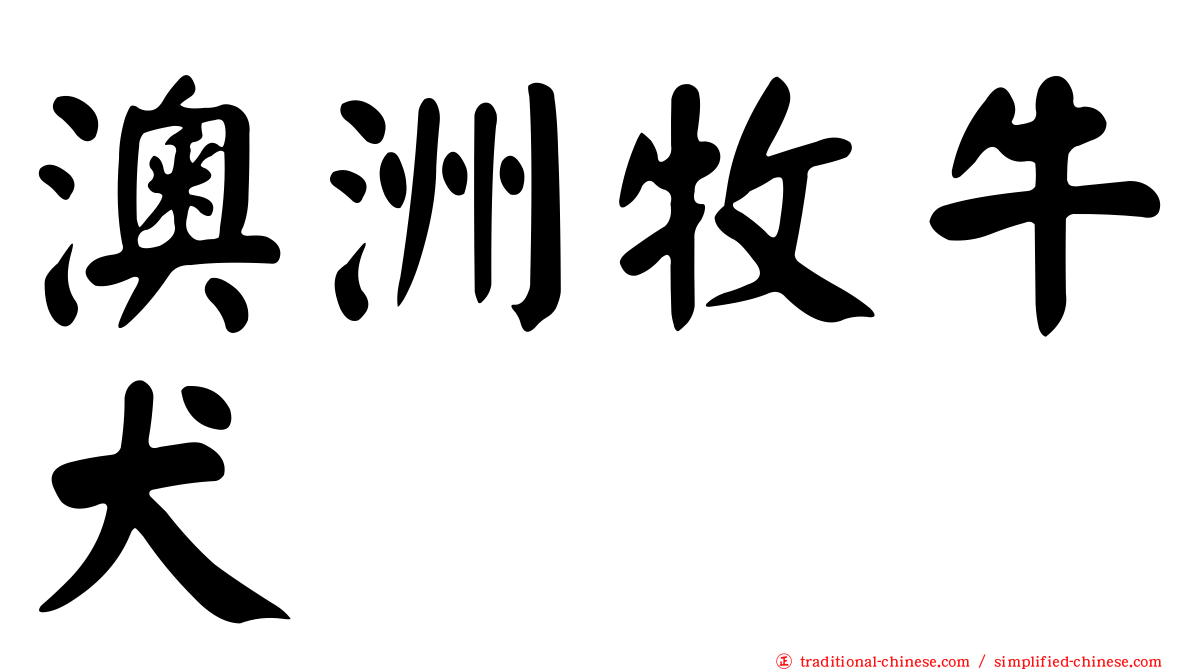 澳洲牧牛犬