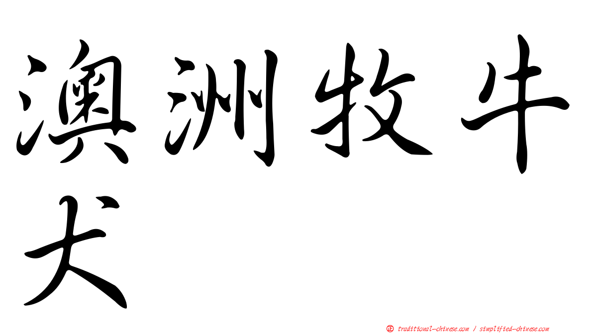 澳洲牧牛犬