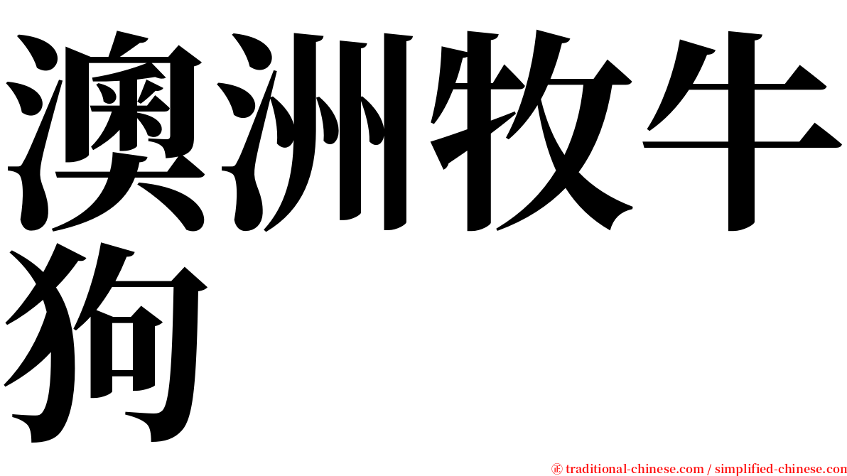 澳洲牧牛狗 serif font