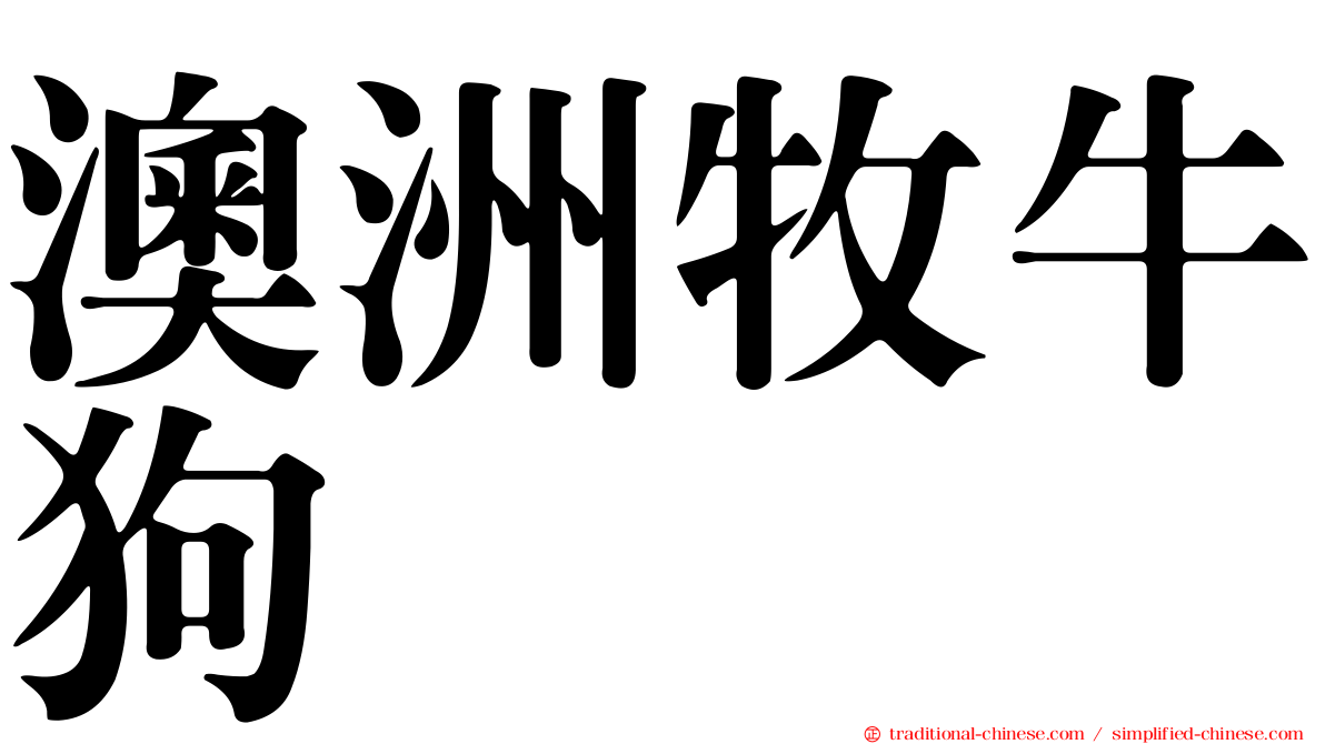 澳洲牧牛狗