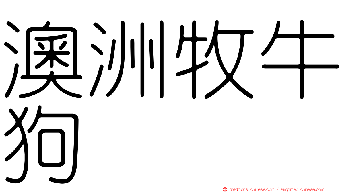 澳洲牧牛狗
