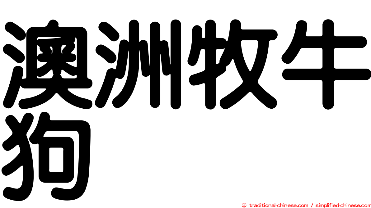 澳洲牧牛狗