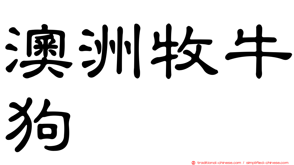 澳洲牧牛狗