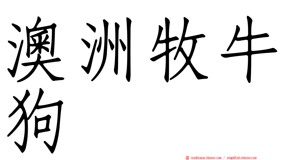 澳洲牧牛狗
