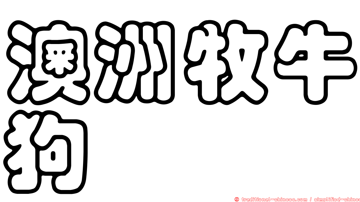 澳洲牧牛狗